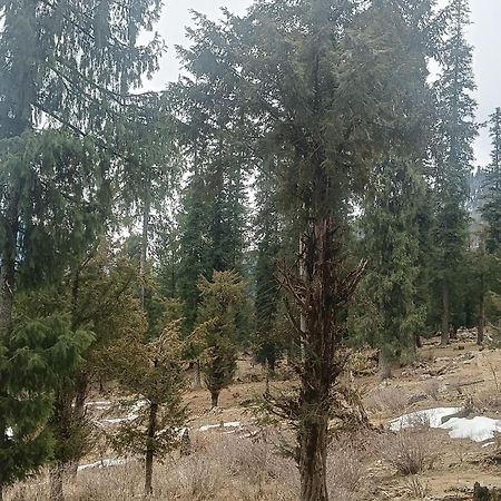 Trimounts-A Boutique Hotel & Wellnes Center In Tirthan Valley Banjār Exterior photo