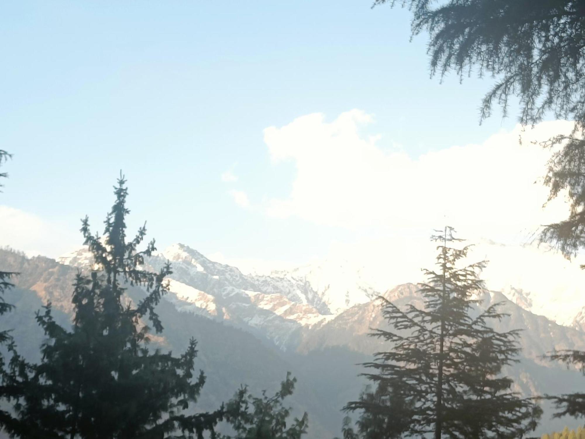 Trimounts-A Boutique Hotel & Wellnes Center In Tirthan Valley Banjār Exterior photo