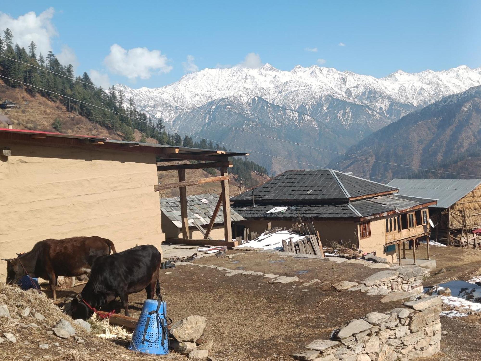 Trimounts-A Boutique Hotel & Wellnes Center In Tirthan Valley Banjār Exterior photo