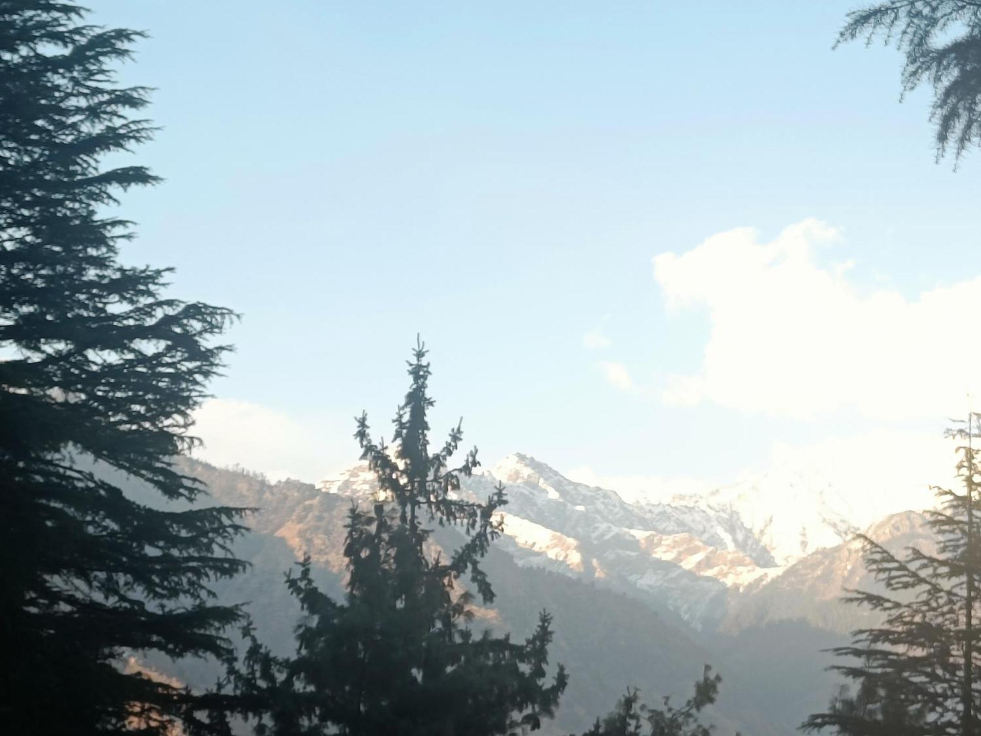 Trimounts-A Boutique Hotel & Wellnes Center In Tirthan Valley Banjār Exterior photo